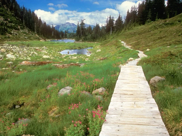 Mountain landscape used on the Advance Releases page